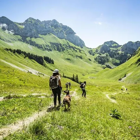 De L'oy Oy9 Nature & Mountain 4 Pers Châtel